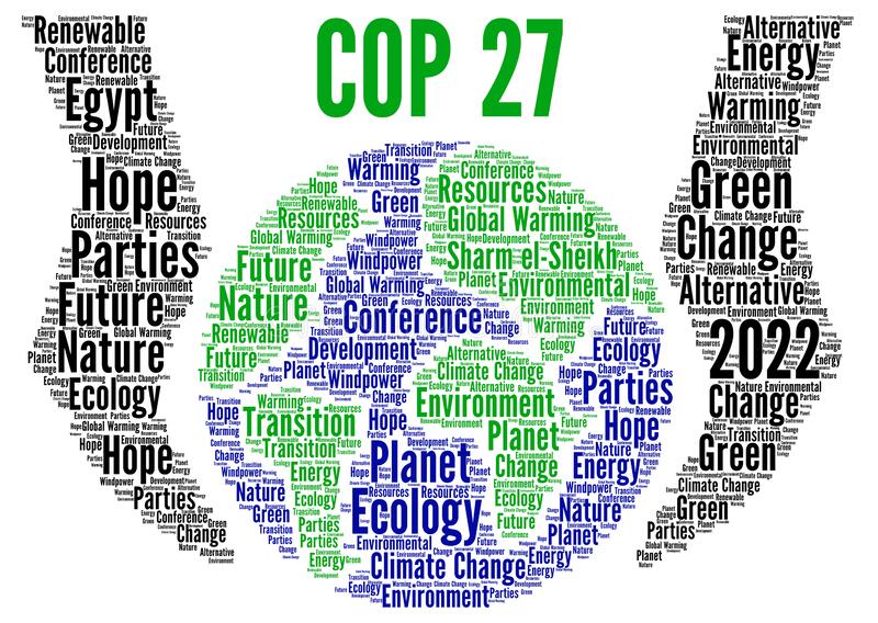Qual é a origem da COP, uma das conferências mais importantes sobre  mudanças climáticas