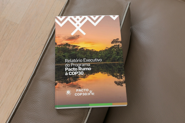 Relatório Pacto Global Rede Brasil