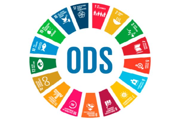 ODS_Rede Brasil